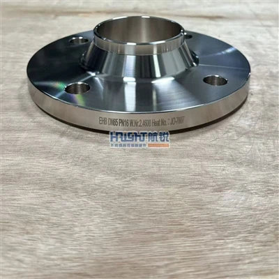 مطالعه کاربرد فلنج Hastelloy B3 W.Nr 2.4600 DN65 PN16