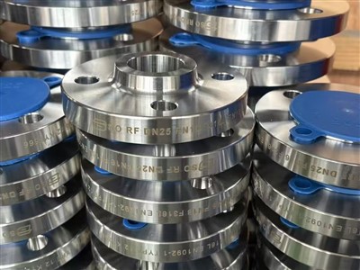 فلنج SO RF DN25 PN16 F316L EN1092-1